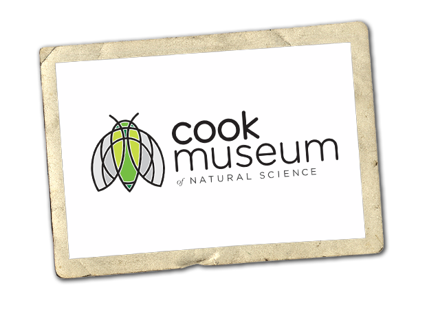 Cook Museum logo